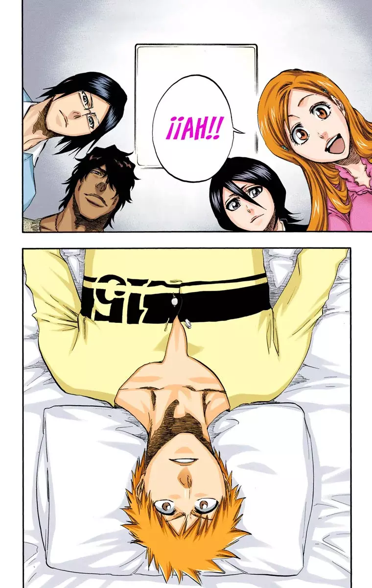 Bleach (Color) capítulo 423, página 13
