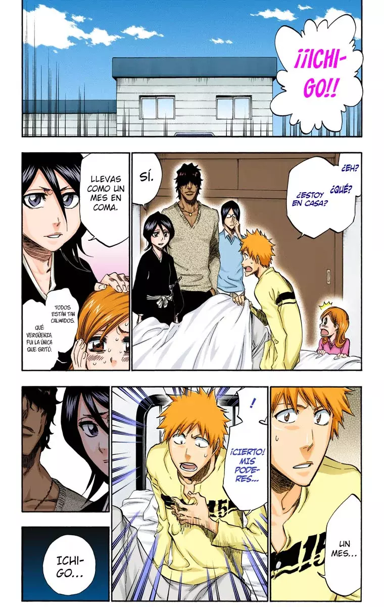 Bleach (Color) capítulo 423, página 14