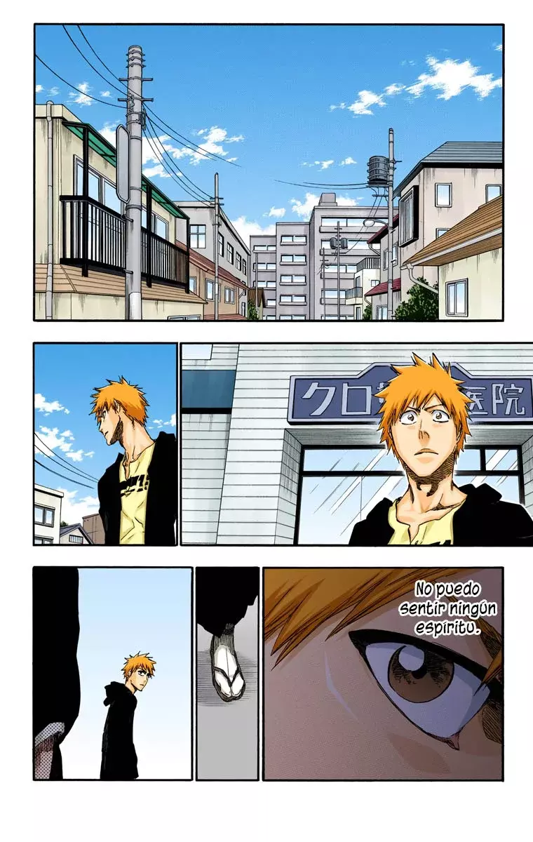 Bleach (Color) capítulo 423, página 17