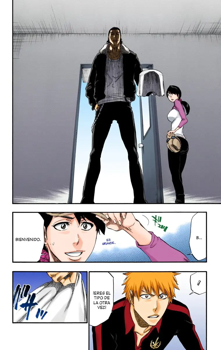 Bleach (Color) capítulo 426, página 18