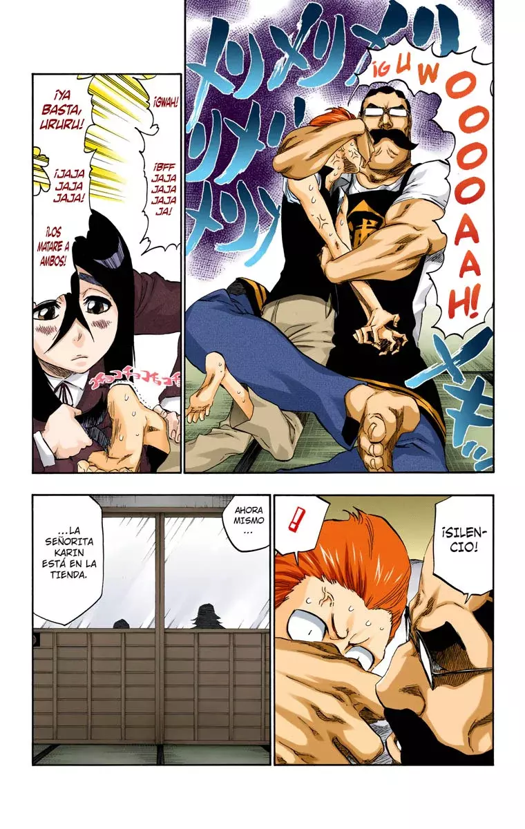 Bleach (Color) capítulo 428, página 14