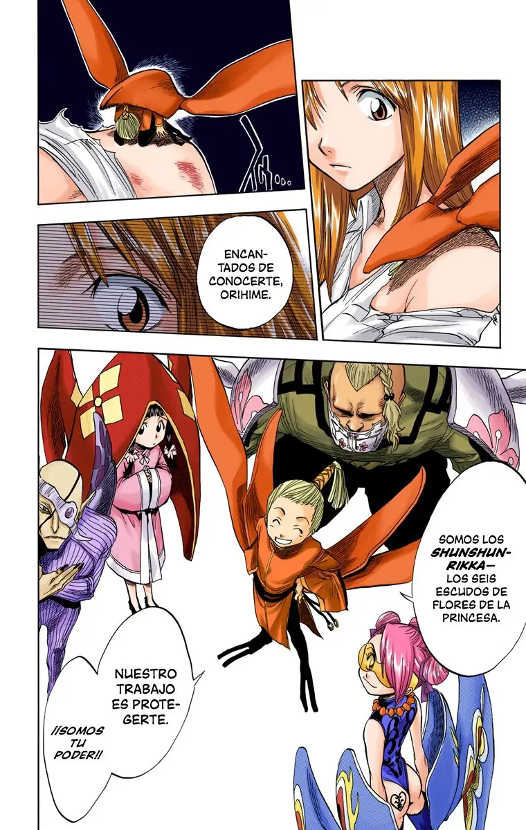 Bleach (Color) capítulo 43, página 5