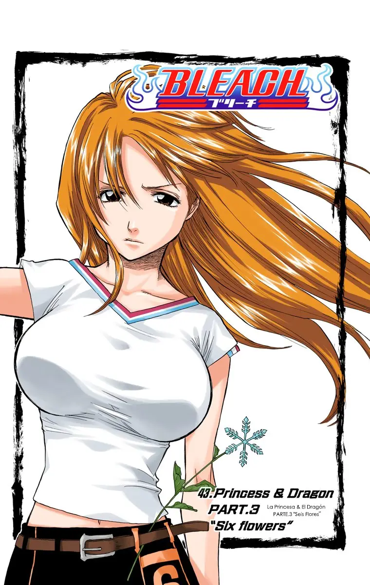 Bleach (Color) capítulo 43, página 6