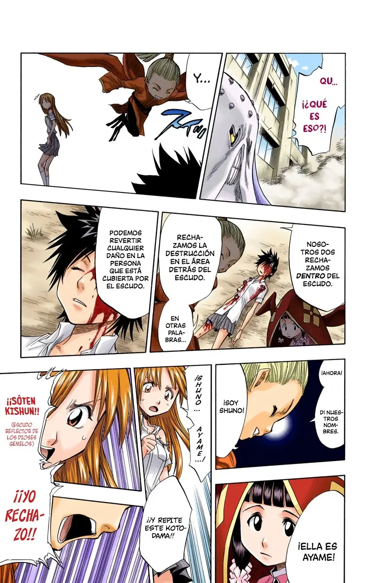 Bleach (Color) capítulo 43, página 14