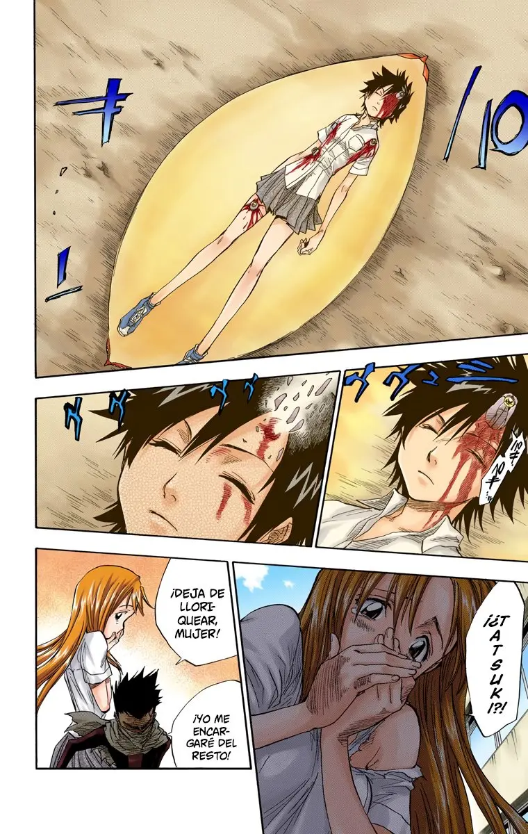 Bleach (Color) capítulo 43, página 15