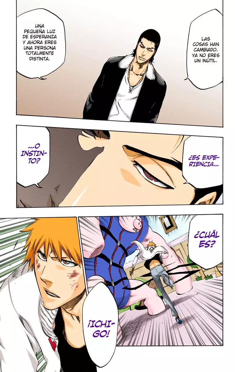 Bleach (Color) capítulo 437, página 14