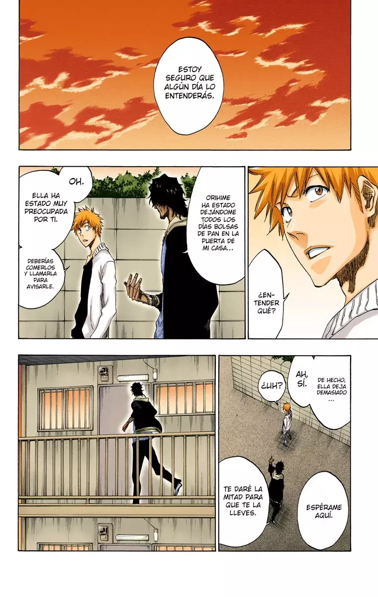 Bleach (Color) capítulo 439, página 19