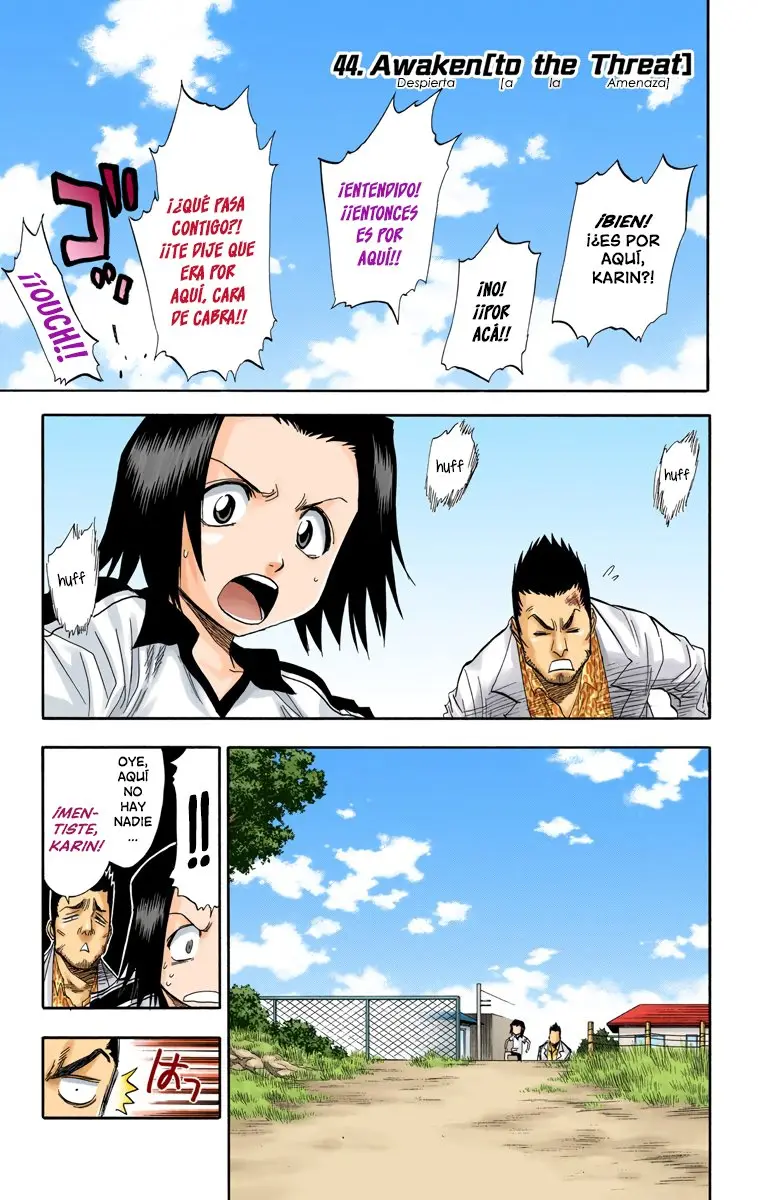 Bleach (Color) capítulo 44, página 6