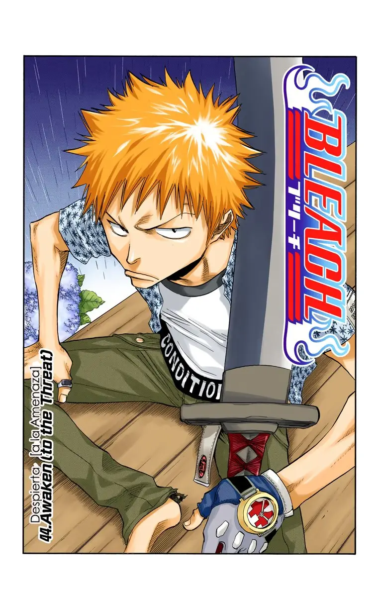 Bleach (Color) capítulo 44, página 11
