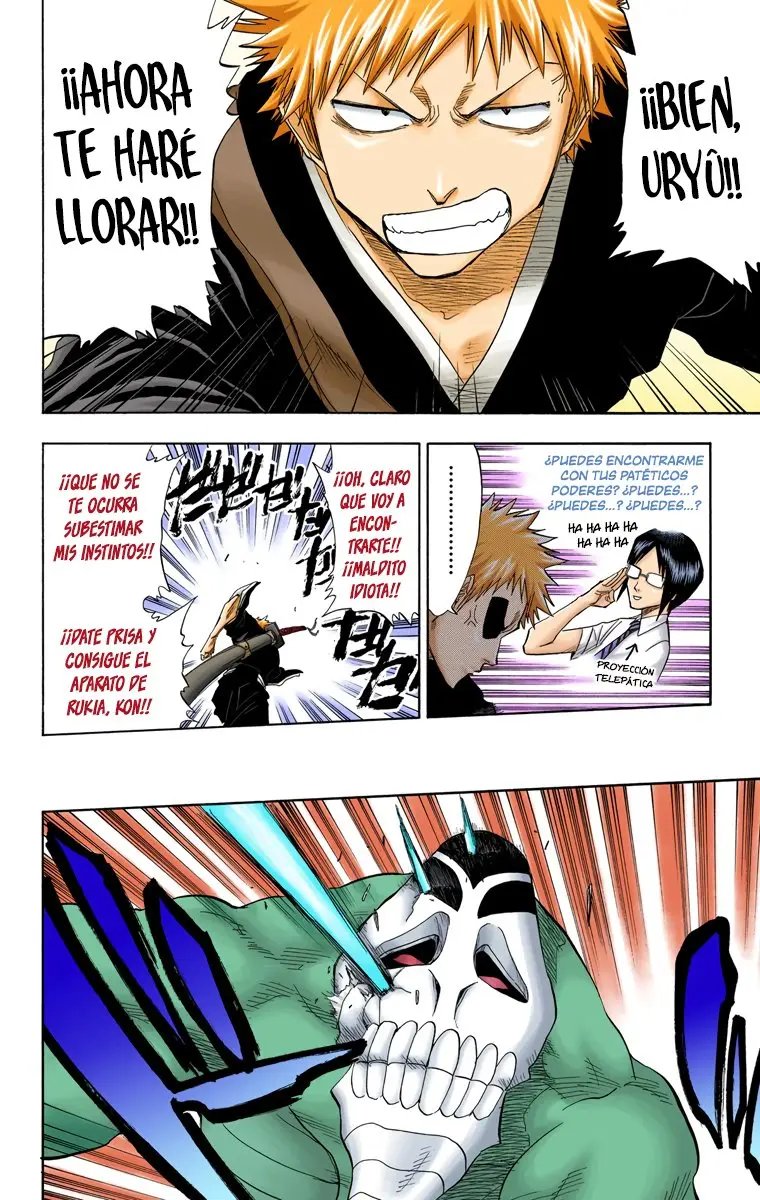 Bleach (Color) capítulo 44, página 13