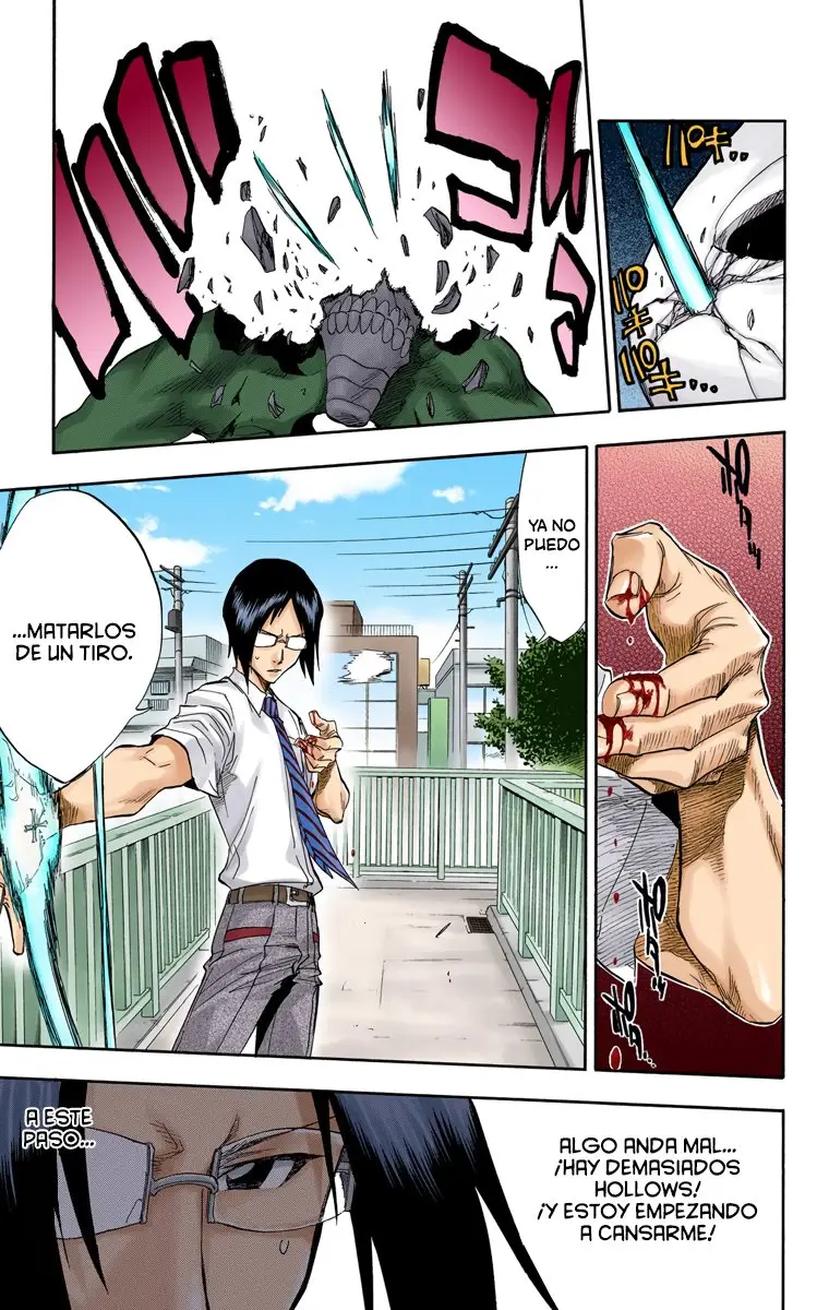 Bleach (Color) capítulo 44, página 14