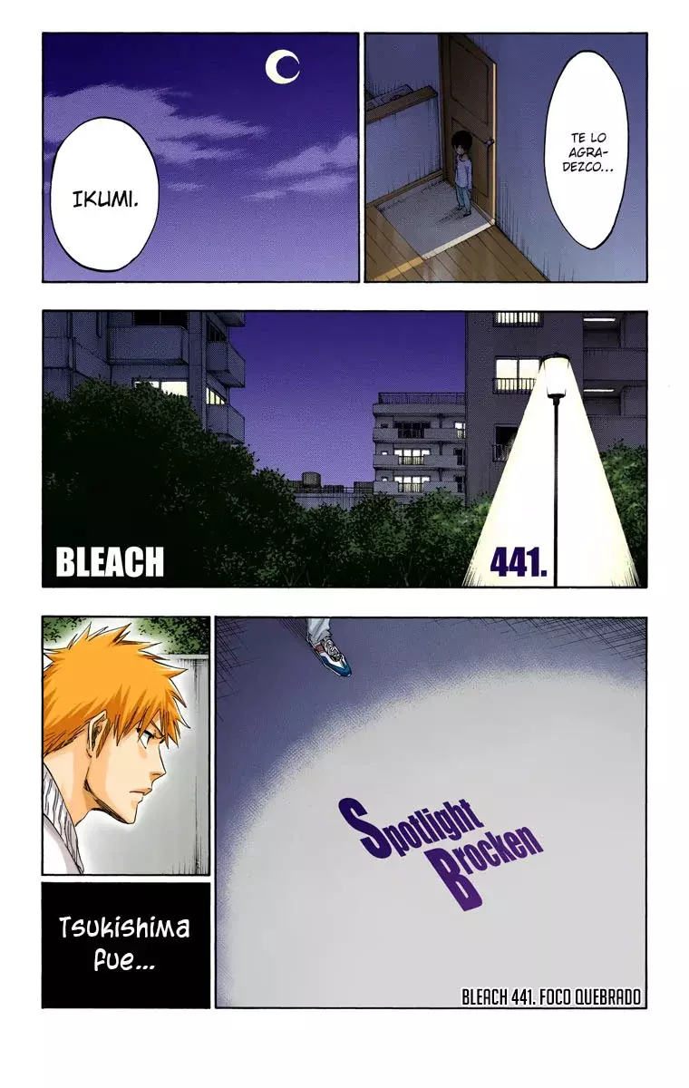 Bleach (Color) capítulo 441, página 6
