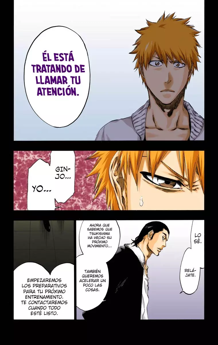 Bleach (Color) capítulo 441, página 11