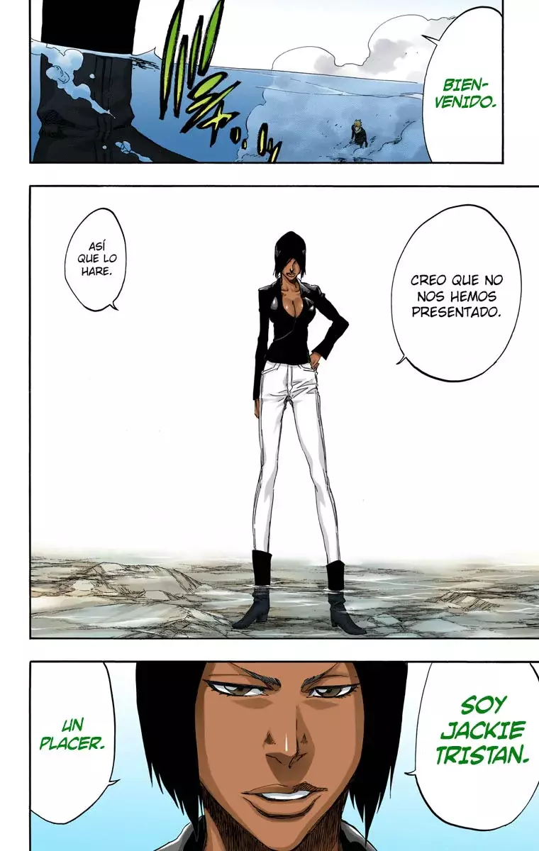 Bleach (Color) capítulo 441, página 19