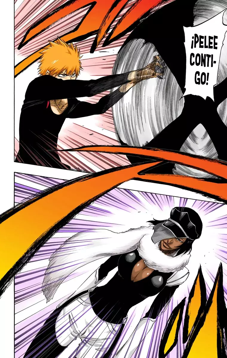 Bleach (Color) capítulo 442, página 17