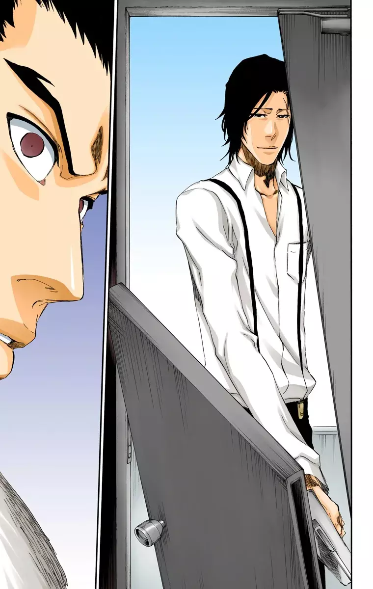 Bleach (Color) capítulo 444, página 14