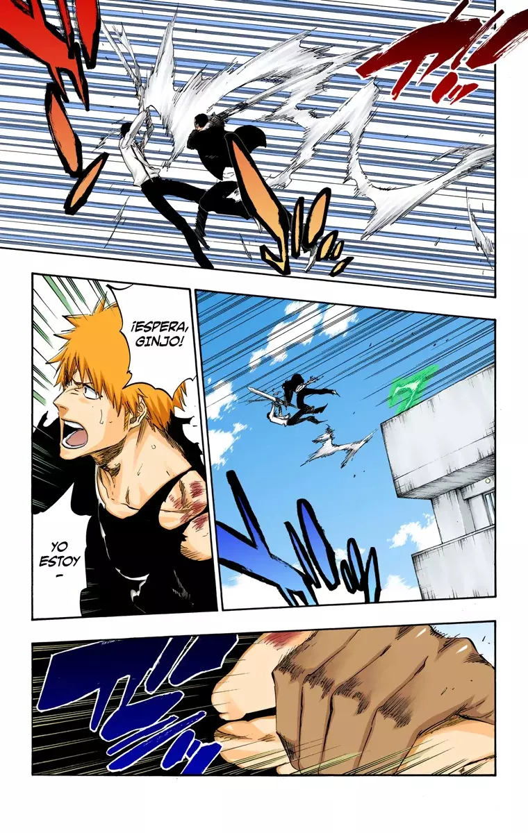 Bleach (Color) capítulo 446, página 10