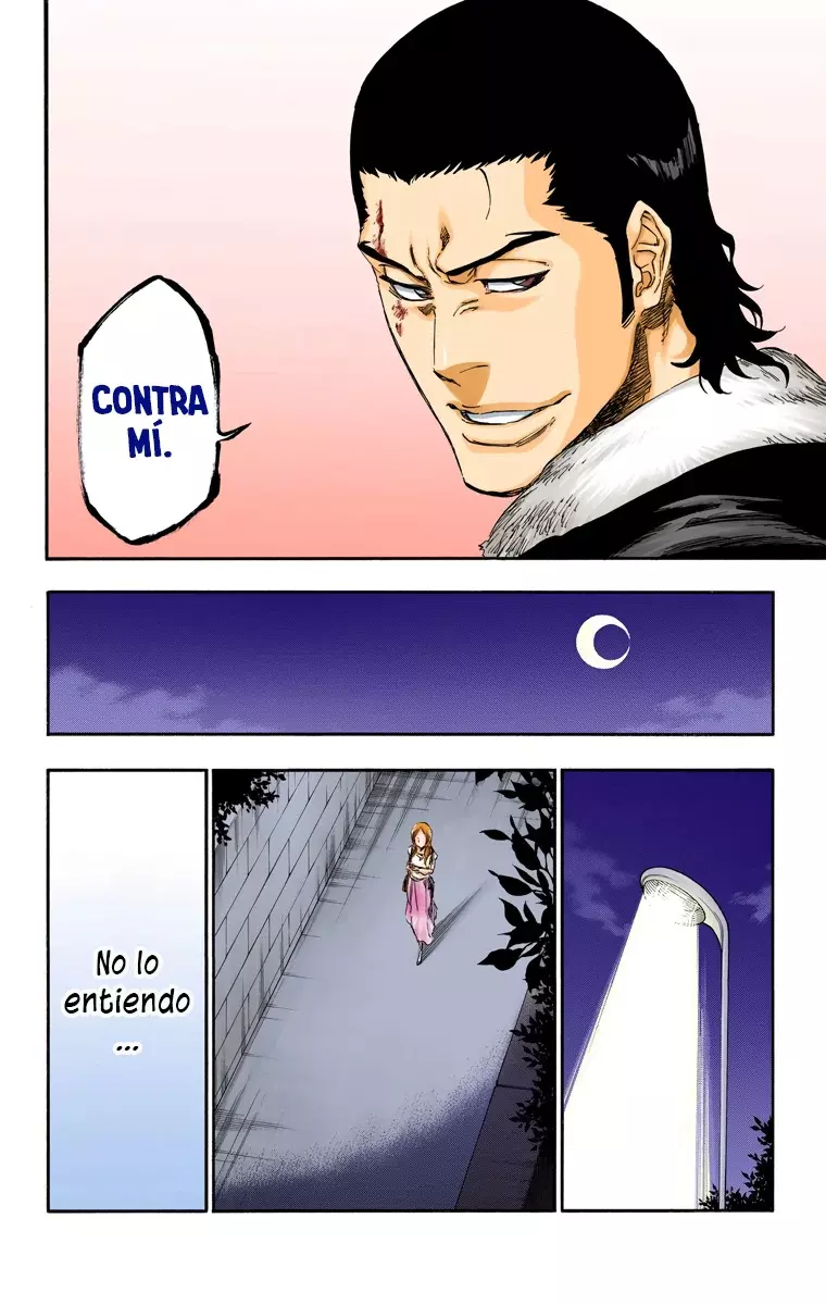 Bleach (Color) capítulo 447, página 16