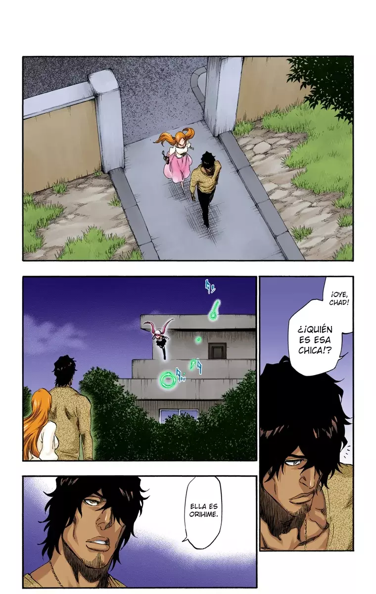 Bleach (Color) capítulo 448, página 13