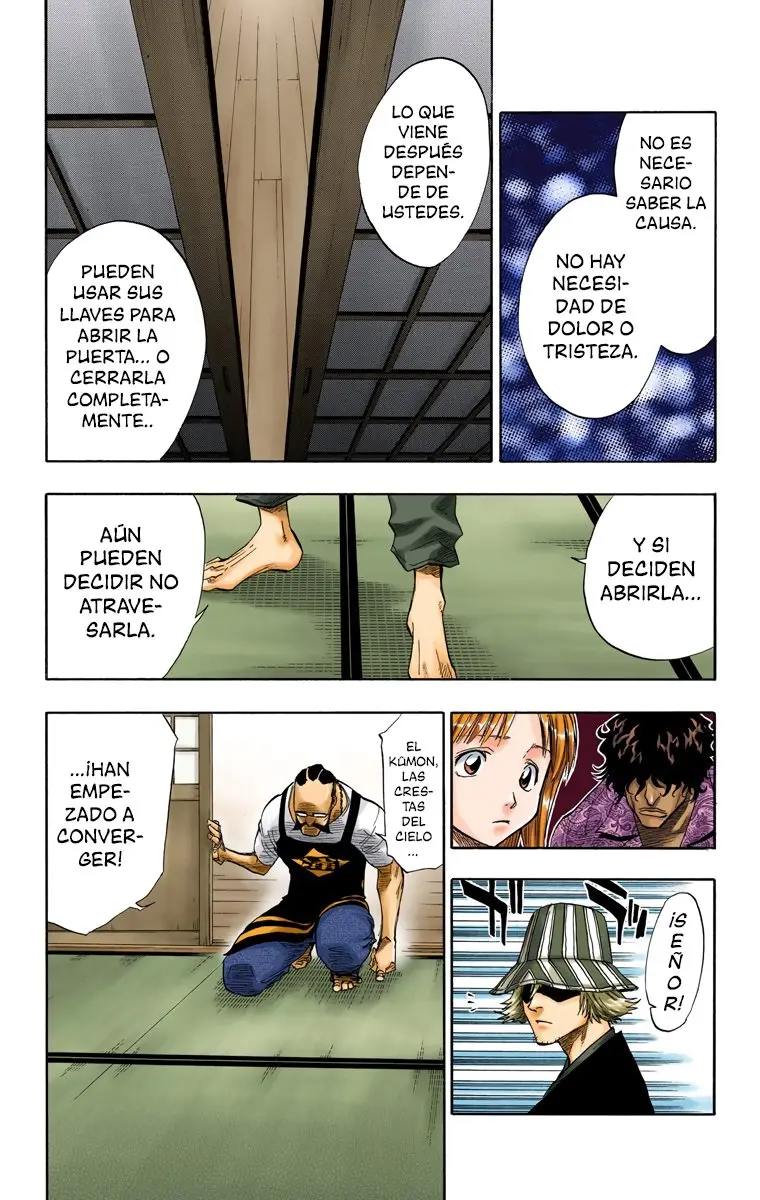 Bleach (Color) capítulo 45, página 3