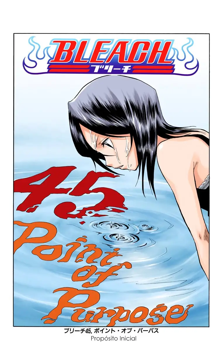 Bleach (Color) capítulo 45, página 6