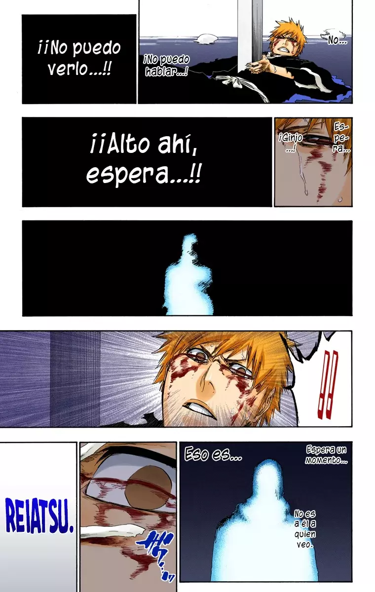 Bleach (Color) capítulo 451, página 22