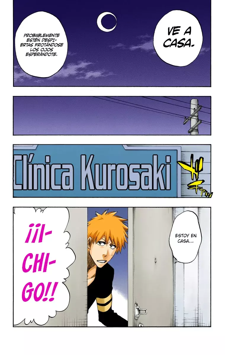 Bleach (Color) capítulo 452, página 17