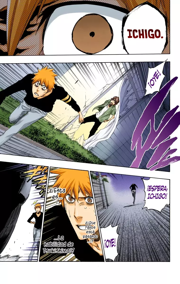 Bleach (Color) capítulo 453, página 14