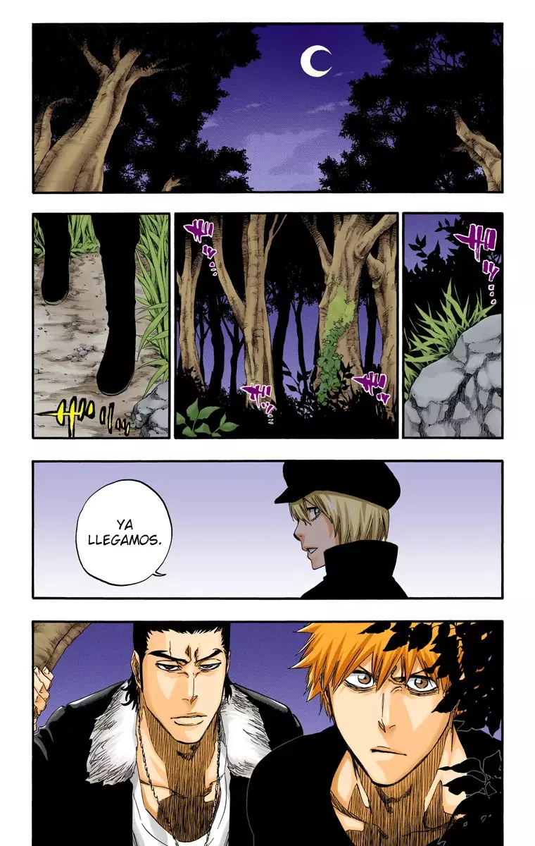Bleach (Color) capítulo 454, página 19