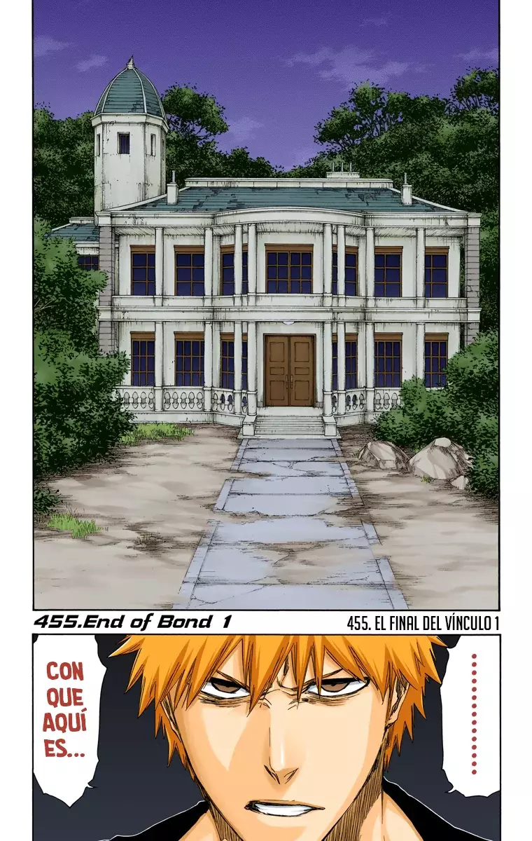 Bleach (Color) capítulo 455, página 2