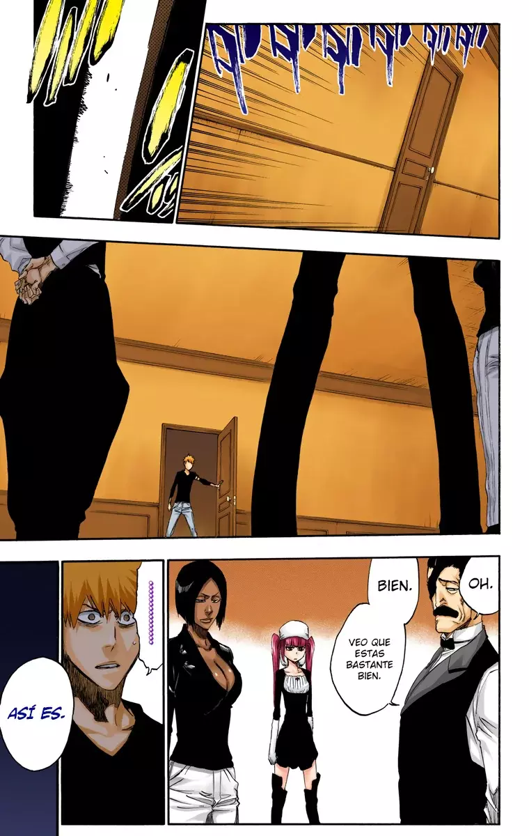 Bleach (Color) capítulo 455, página 12