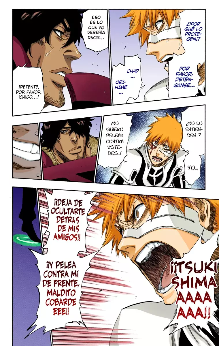 Bleach (Color) capítulo 457, página 17