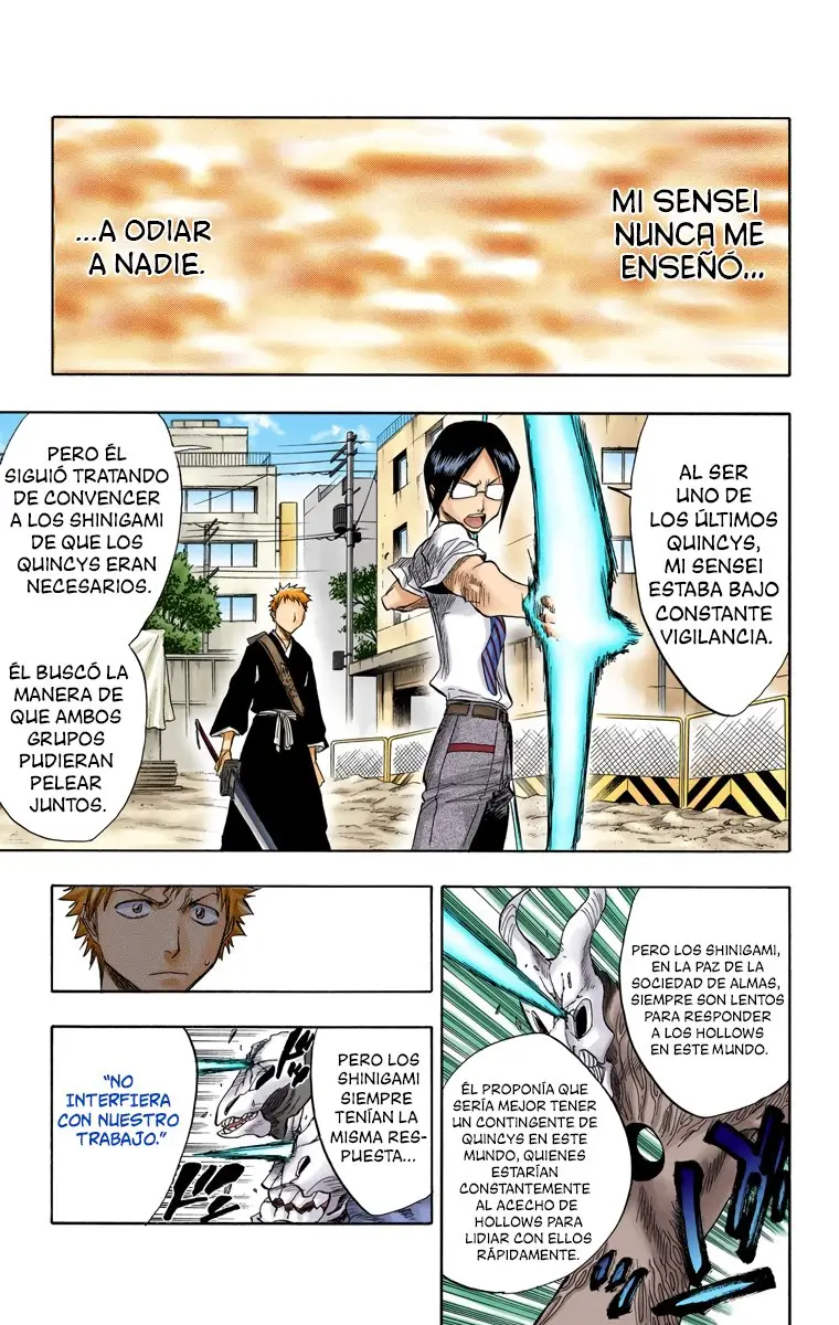 Bleach (Color) capítulo 46, página 14