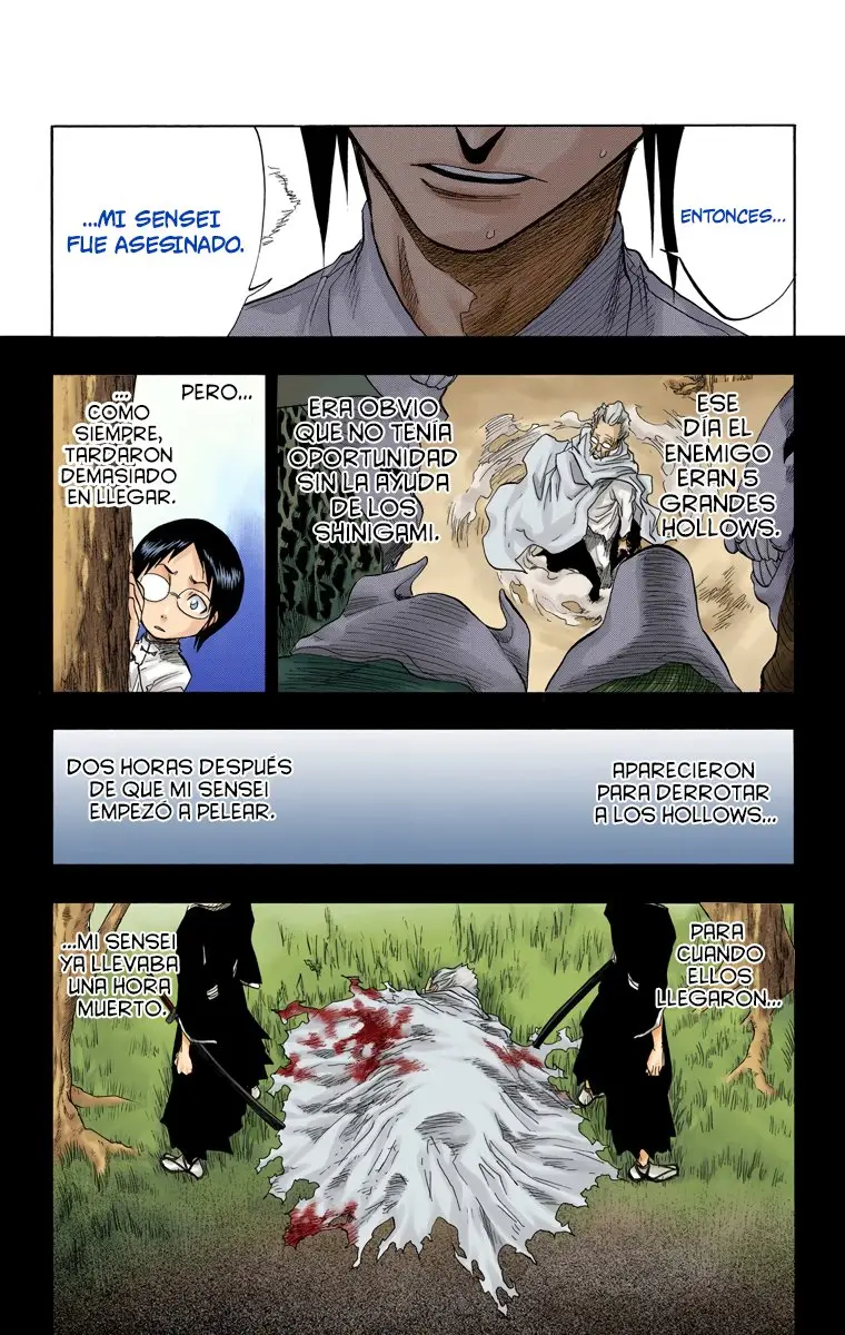 Bleach (Color) capítulo 46, página 15