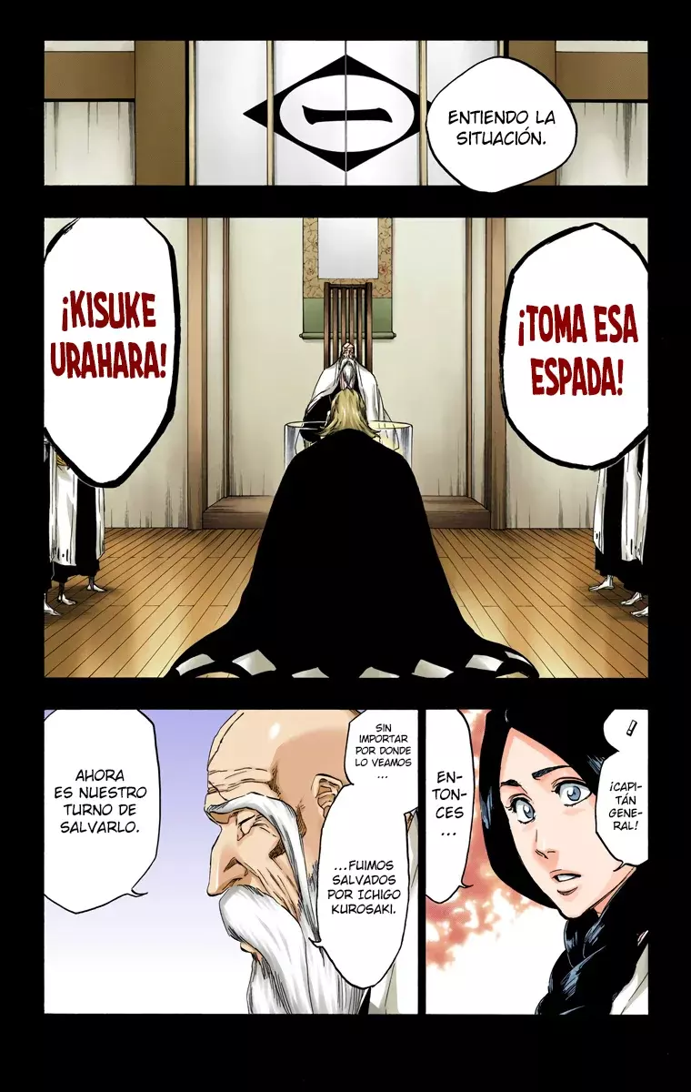 Bleach (Color) capítulo 461, página 14