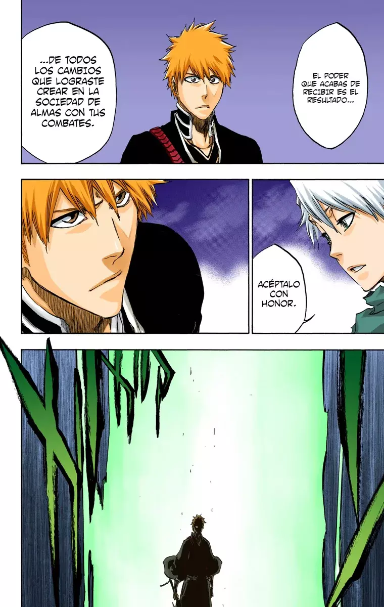 Bleach (Color) capítulo 461, página 17