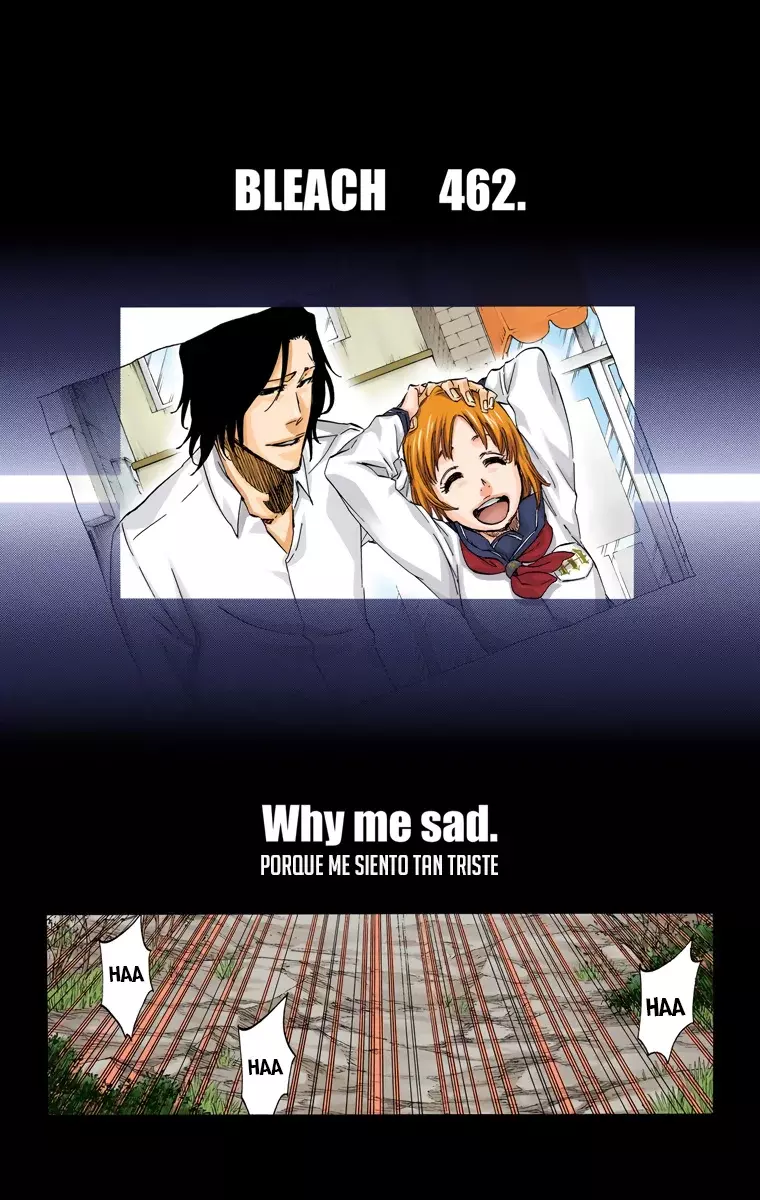 Bleach (Color) capítulo 462, página 6