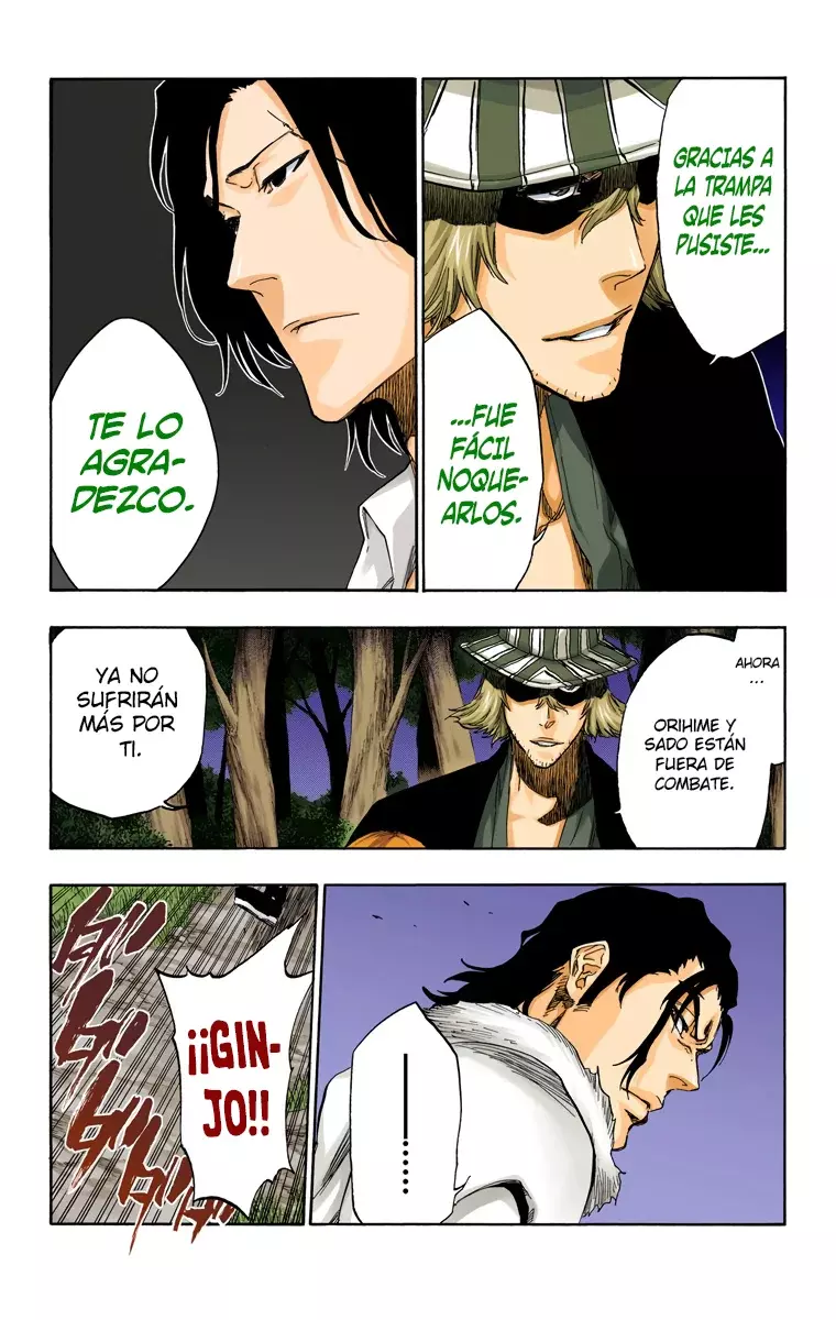 Bleach (Color) capítulo 462, página 15