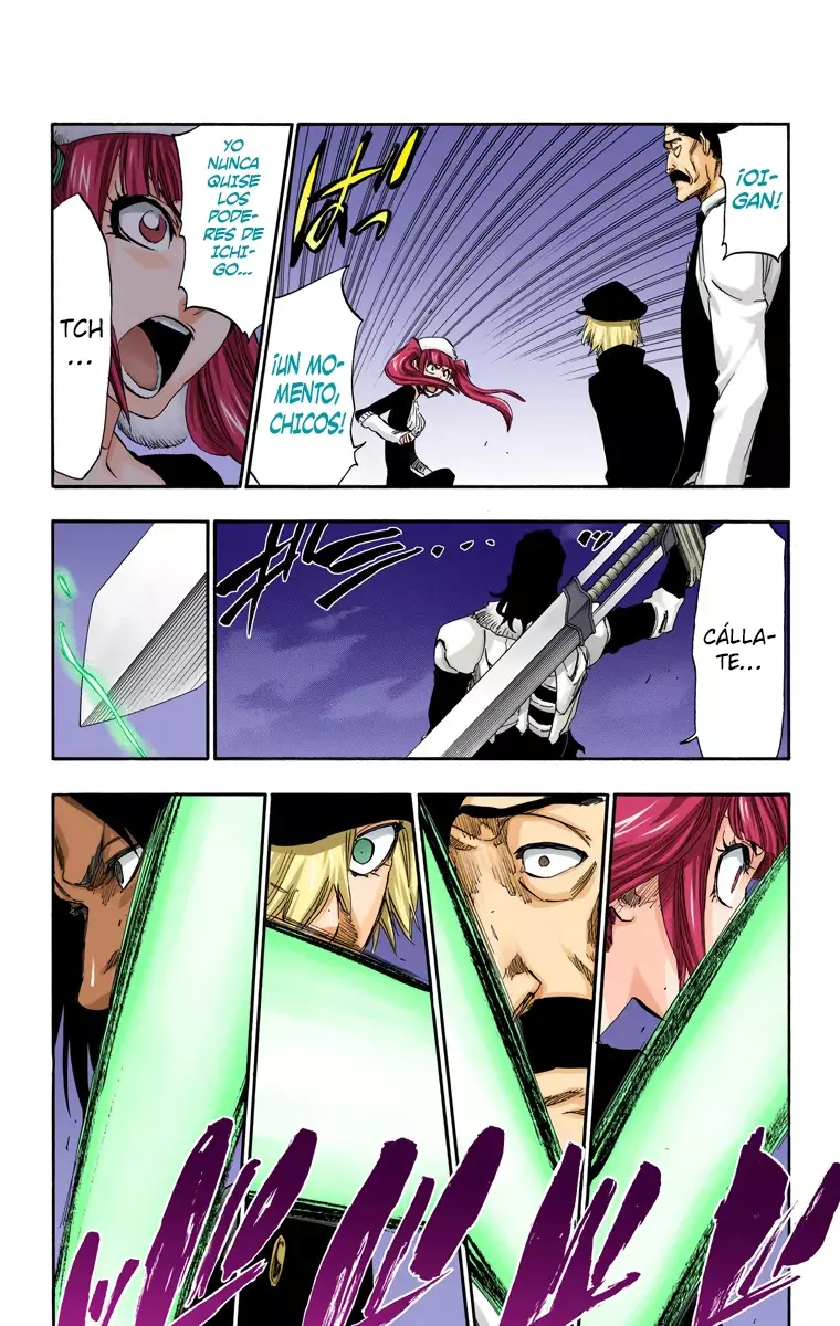 Bleach (Color) capítulo 462, página 17