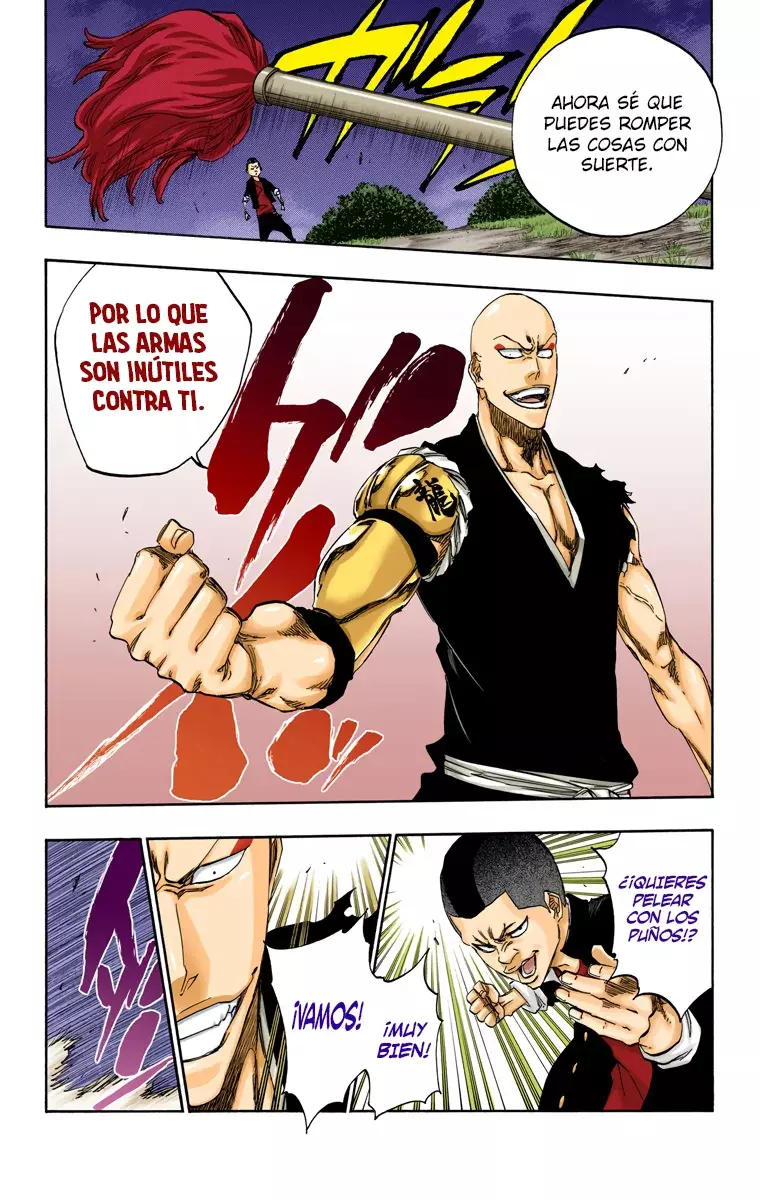 Bleach (Color) capítulo 467, página 13
