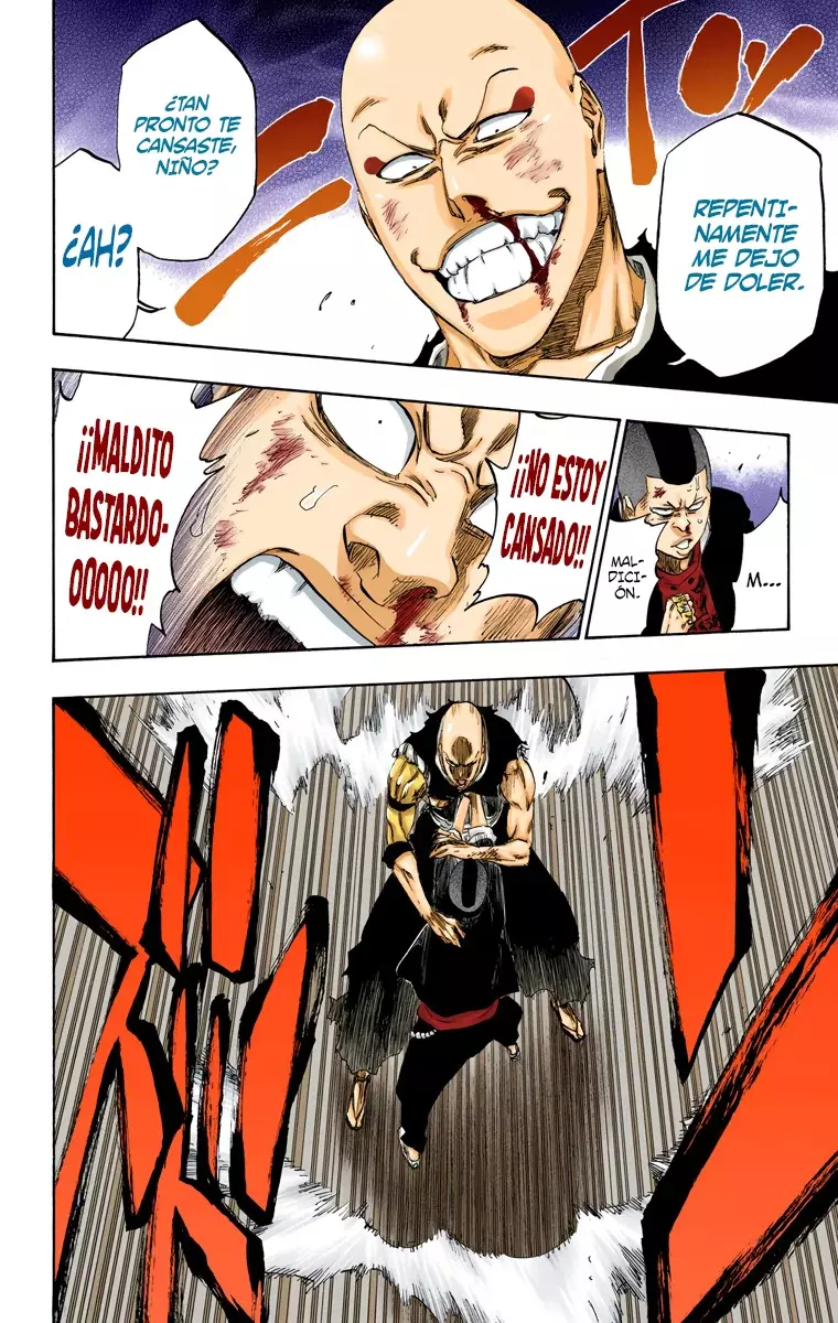 Bleach (Color) capítulo 467, página 17