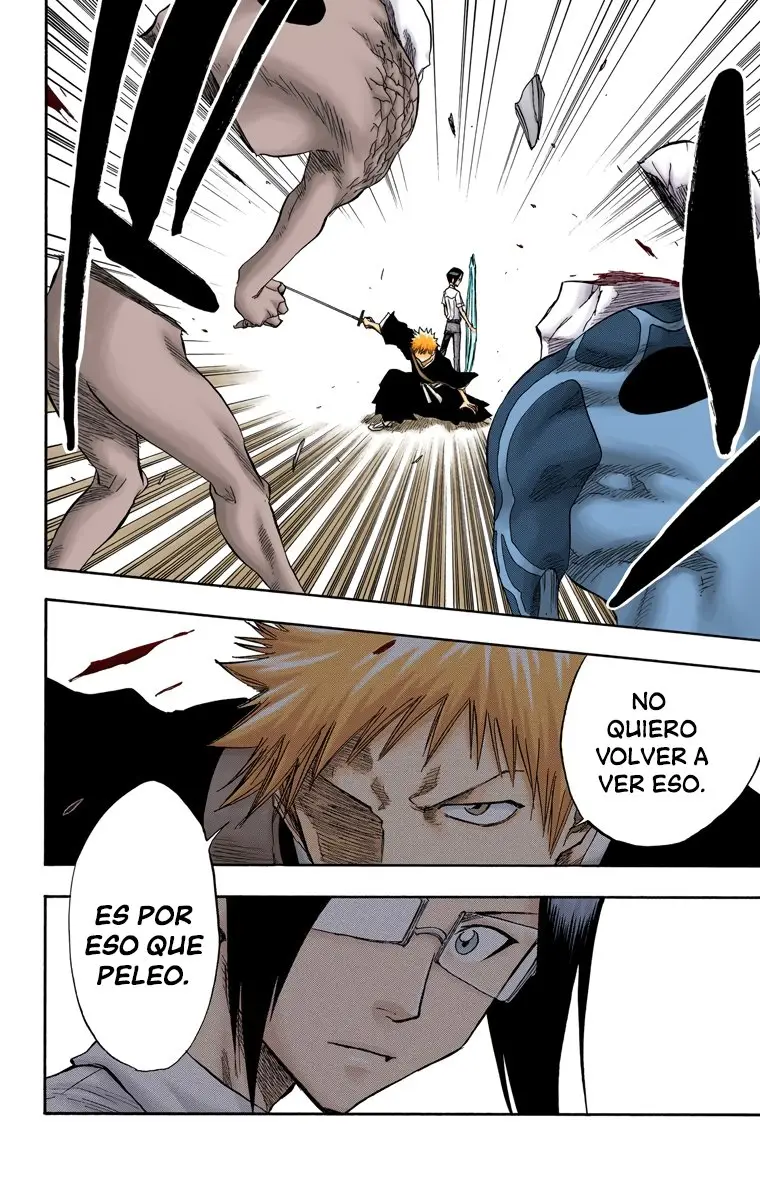 Bleach (Color) capítulo 47, página 10