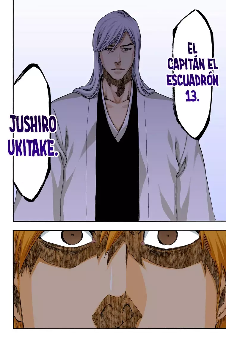 Bleach (Color) capítulo 474, página 17