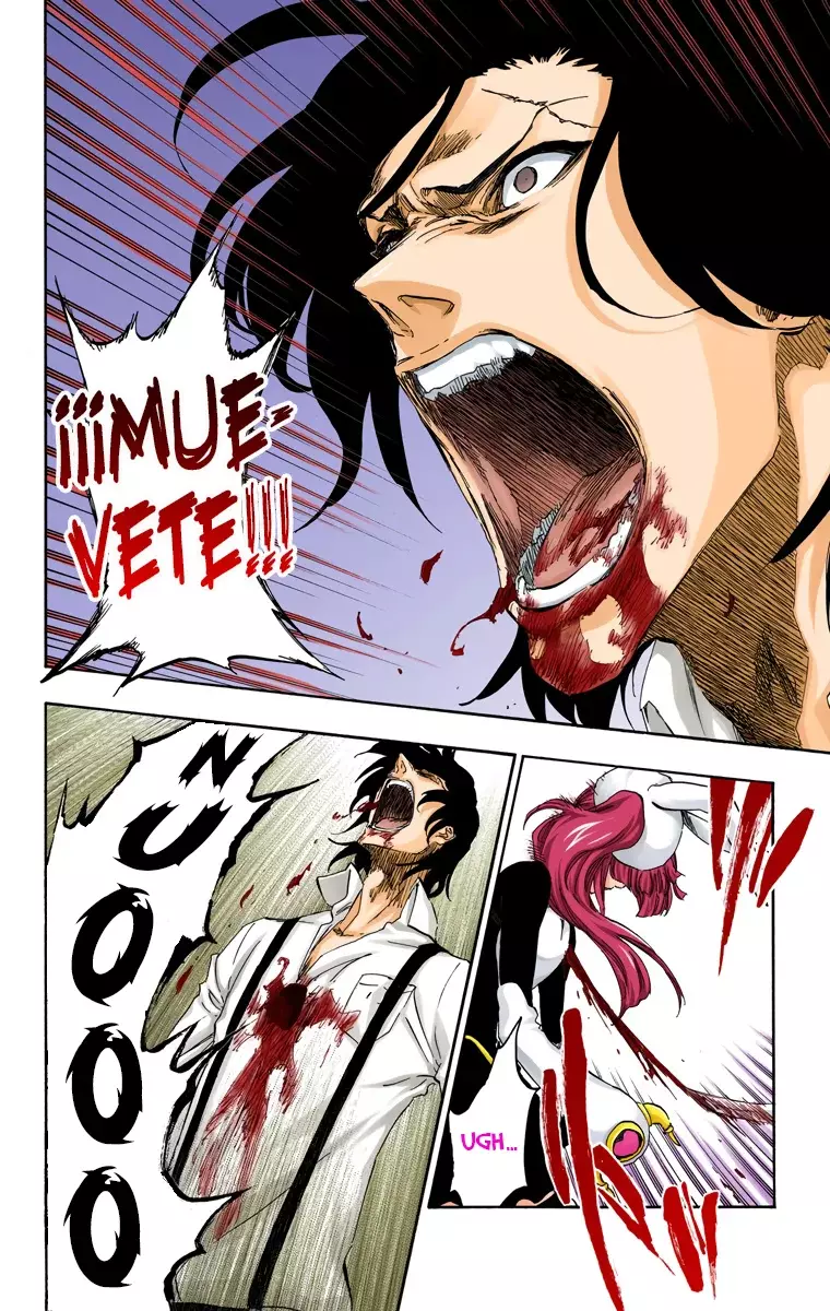 Bleach (Color) capítulo 477, página 17