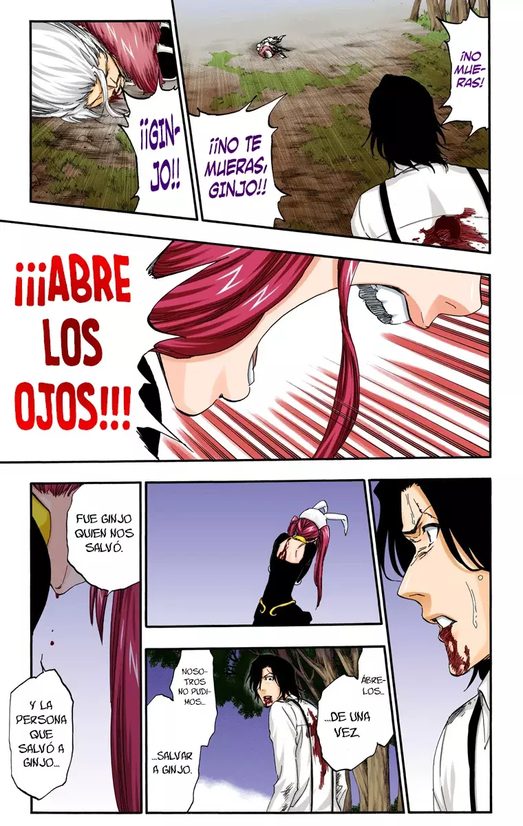 Bleach (Color) capítulo 477, página 18