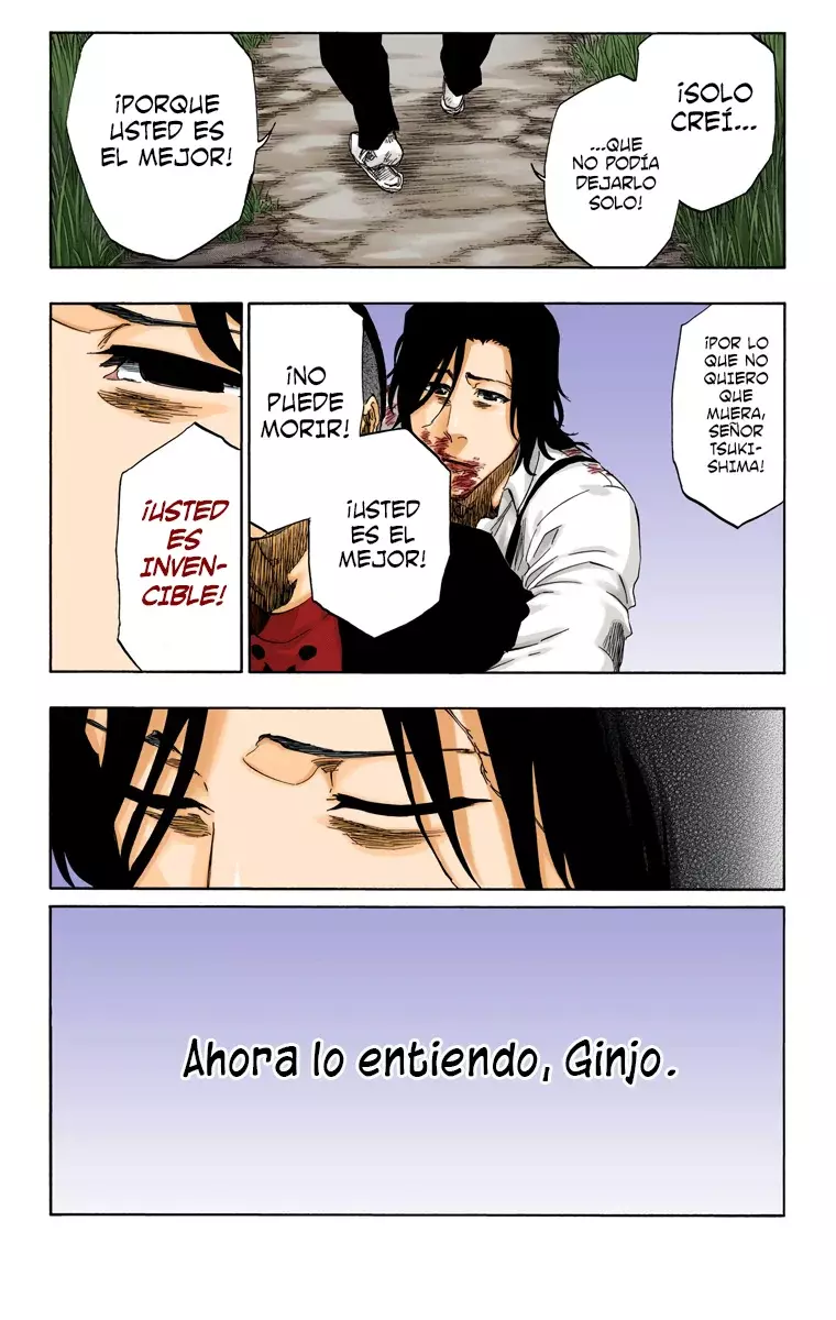 Bleach (Color) capítulo 478, página 18