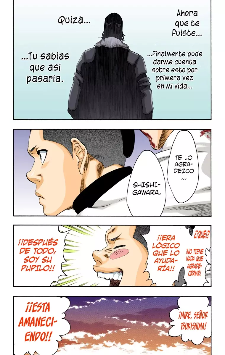Bleach (Color) capítulo 478, página 19