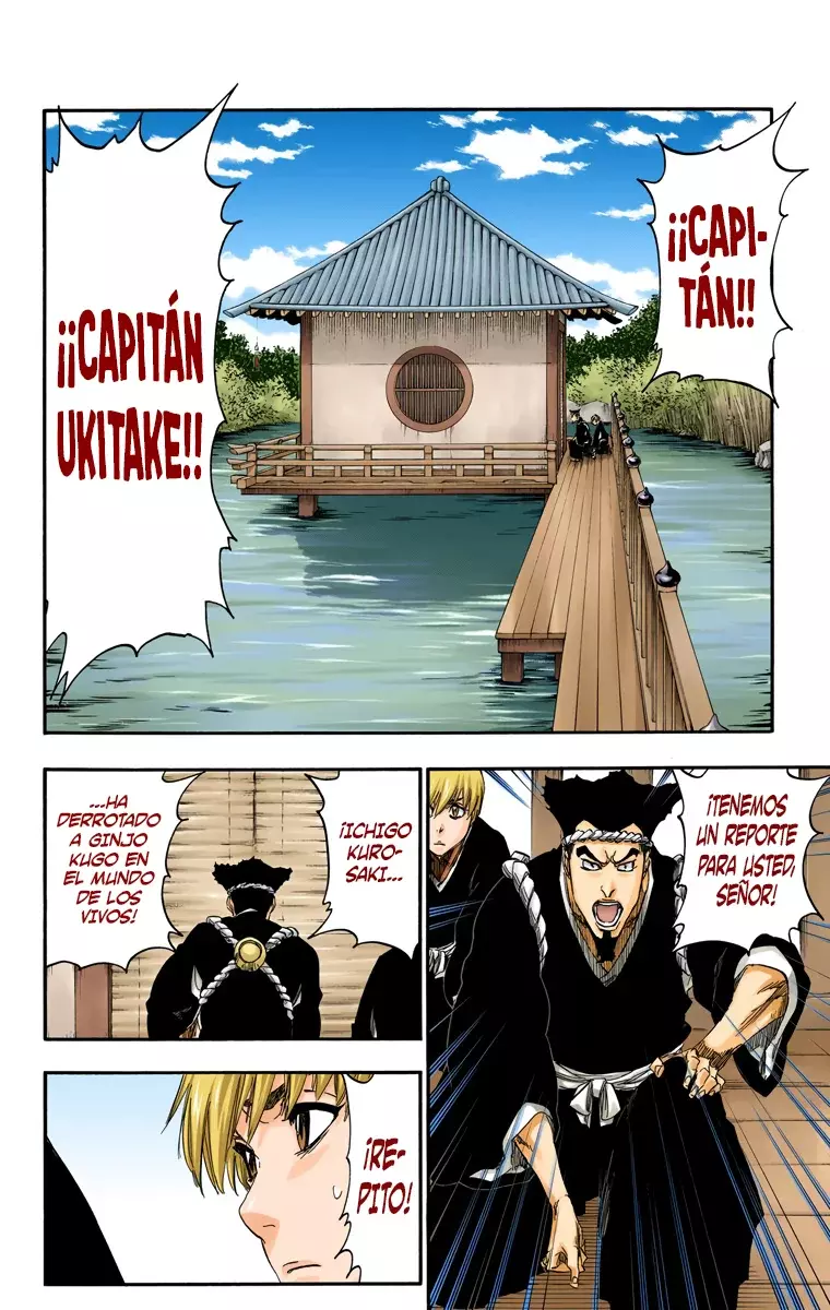 Bleach (Color) capítulo 479, página 5