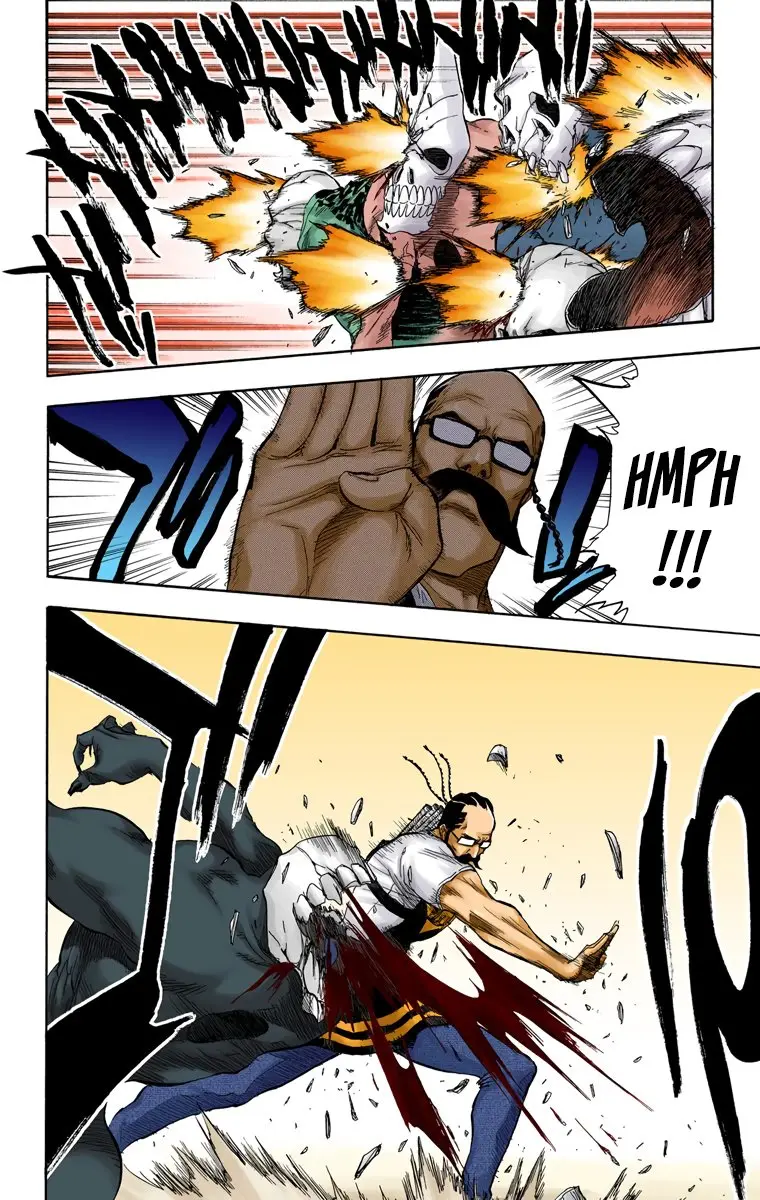 Bleach (Color) capítulo 48, página 3