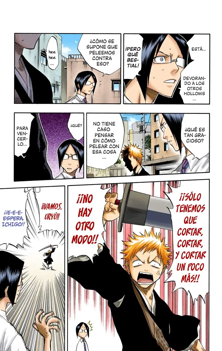Bleach (Color) capítulo 48, página 13